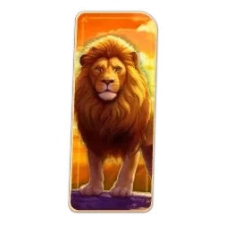 Lion
Safari
